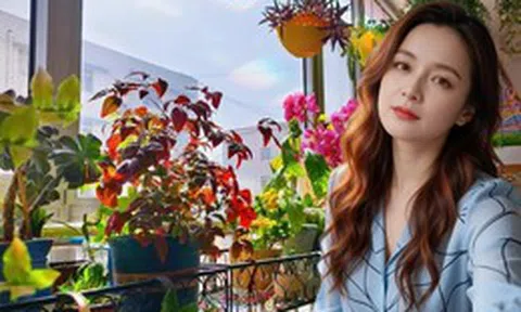 Ban công 3m² của người phụ nữ 45 tuổi gây sốt: Trồng vài chậu cây đơn giản mà biến nhà thành nơi muốn về sớm mỗi ngày