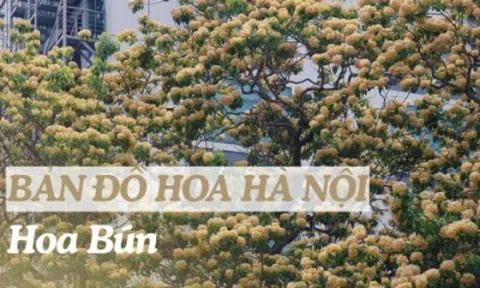 "Bản đồ" hoa tháng 4 Hà Nội: Hoa bún nở rộ, ngoài cây 300 tuổi còn góc check-in nào?