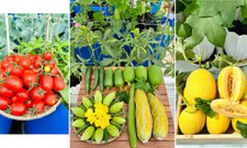 Sự thật về người phụ nữ Đồng Nai nhiều năm "không bước chân ra chợ", bí mật nằm ở tầng 3