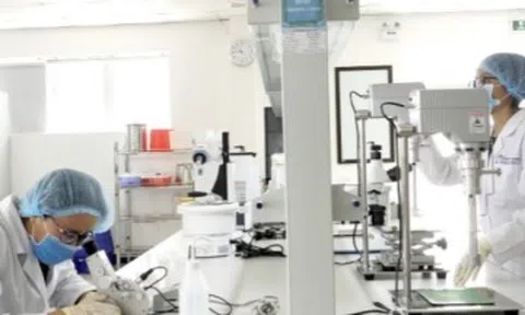 Cana Young và Lotte Mart: "cú bắt tay" chiến lược đẩy mạnh sự phát triển mỹ phẩm