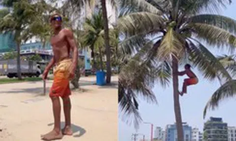 Chàng Tây du lịch Đà Nẵng hái dừa thoăn thoắt khiến dân mạng phục lăn