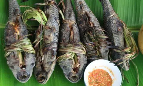 Loại cá xưa không ai dám ăn, giờ thành đặc sản nổi tiếng được khách du lịch "ưa thích", 60.000 đồng/kg
