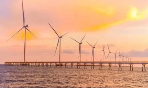 Bãi tắm có cánh đồng điện gió chạy thẳng tắp trên biển ở miền Tây, nổi tiếng với đặc sản cua “chù ụ” thơm ngon