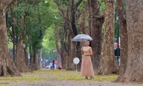 Phố Hà Nội đẹp dịu dàng mùa sấu rụng lá