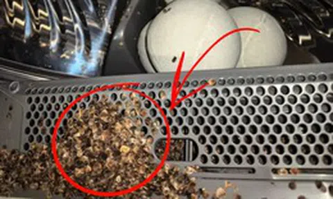 Sống 40 năm mới biết: Tuyệt đối không cho 8 thứ này vào máy giặt, không chỉ hỏng đồ mà còn “giết chết” máy rất nhanh