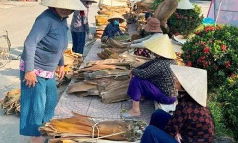 Ở Quảng Ngãi có khu chợ đặc biệt, bán thứ tưởng là "rác" giá chỉ 1.000 đồng, nay được xuất khẩu ra nước ngoài