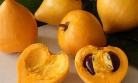 Cà phê kem lêkima: Thức uống sẽ soán ngôi cà phê kem dẻo Buôn Mê?