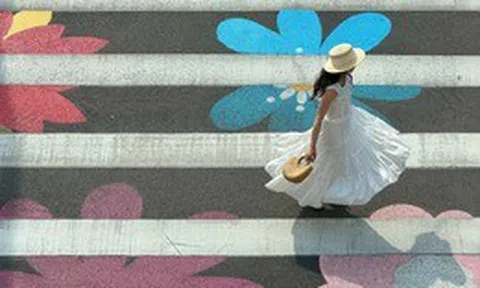 Vạch kẻ đường ở Thượng Hải bỗng nở hoa