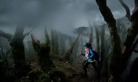 3 lưu ý quan trọng khi đi trekking rừng dịp nghỉ lễ 30/4-1/5