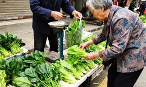 Khởi nghiệp quầy rau nhỏ: Ít người biết 3 loại này giúp quay vòng vốn nhanh