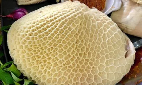Đặc sản xưa ít người biết đến, giờ thành món khoái khẩu của dân thành phố nhờ hương vị lạ, giá 400.000 đồng/kg