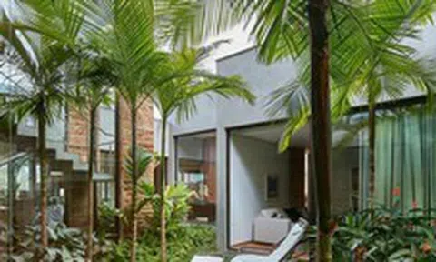 4 loại cây nên trồng trước cửa nhà: Vừa ‘trấn trạch’, vừa ‘hút’ tài lộc