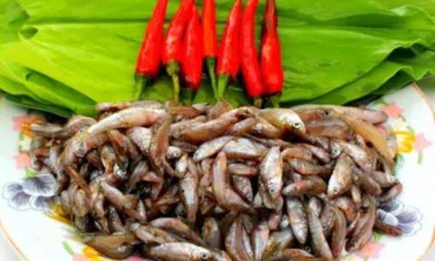 Món "cứu đói" mùa lũ trở thành đặc sản đắt đỏ với giá lên tới 300.000 - 400.000 đồng/kg, nhiều người truy lùng