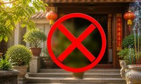 3 cây trước nhà cản bước Thần Tài, tốt nhất đừng trồng