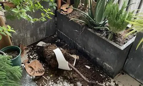 Sau 1 năm dùng ban công mở, tôi hiểu vì sao nhiều người muốn đóng lại