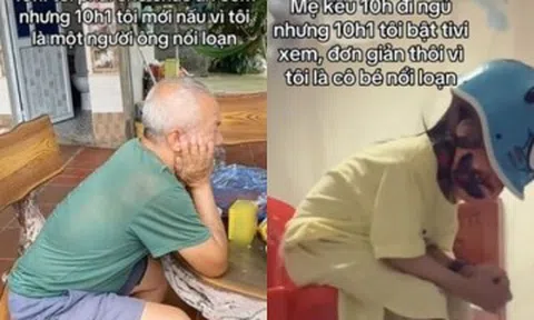 Trào lưu "đứa trẻ nổi loạn" là gì mà lôi cuốn từ già đến trẻ trên Tiktok?