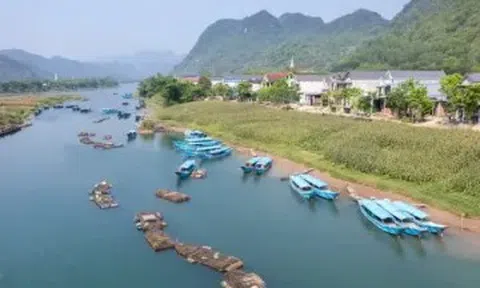 Cá trắm sông Son: "Đặc sản" nuôi lớn miền di sản Phong Nha
