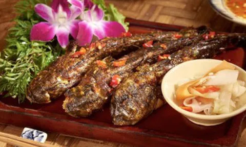 Đặc sản Cà Mau có món chế biến từ sản vật trời ban, có món "lạ nhất hành tinh"
