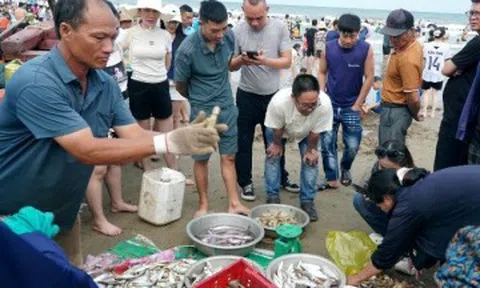 Du khách thích thú mua hải sản tươi rói ở làng chài ven biển Sầm Sơn