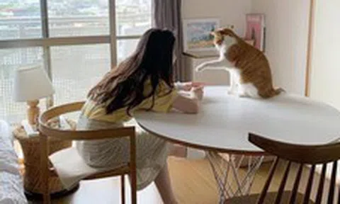 30 tuổi chưa mua được nhà, có lẽ tôi chỉ đủ sức nuôi nổi bản thân