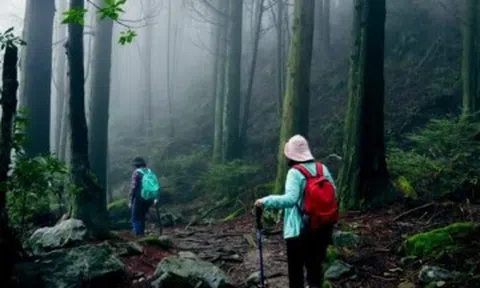 Vì sao một số người dễ "bị dọa" khi đi rừng hoặc leo núi, có phải do "yếu bóng vía"?