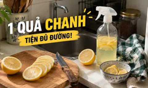 Từ thứ hay bị mốc trong tủ lạnh, chanh giờ trở thành “trợ thủ” số 1 trong căn bếp của tôi: 15 công dụng vừa sạch nhà vừa đỡ tốn tiền
