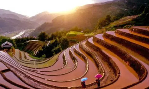 Đẹp mê ruộng bậc thang Mù Cang Chải mùa nước đổ