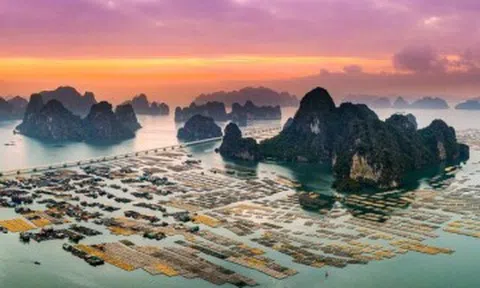 Mệnh danh “viên ngọc quý” của Việt Nam, năm 2026 tạp chí Mỹ gọi tên vịnh biển này trong top 7 kỳ quan Đông Nam Á