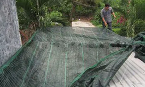 Làm thế nào để chống nóng hiệu quả cho nhà tầng trên cùng? 7 cách giúp giảm vài độ trong mùa hè, ngủ ngon mà không phải bật điều hòa cả đêm