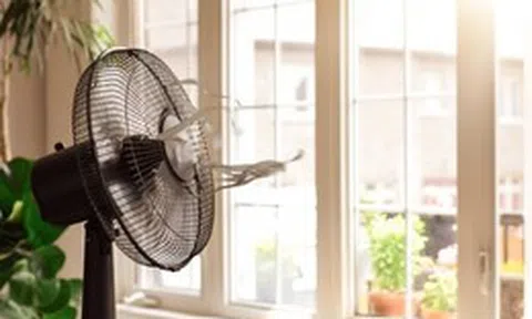 Loại quạt nào tốn điện nhất? Lời khuyên để dùng quạt điện mát không kém điều hòa mà vẫn tiết kiệm, tốt cho sức khỏe