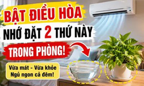 Trước khi bật điều hòa, người khéo thường đặt thêm 2 thứ này trong phòng: Vừa dễ ngủ vừa đỡ khô da
