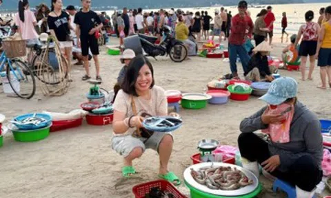 Khách dậy từ 4h tới làng chài ở Đà Nẵng, chi vài triệu mua hải sản tươi ngon