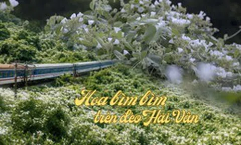 Việt Nam có cung đường đang xảy ra hiện tượng "tuyết mùa hè" phủ trắng đèo đẹp như phim