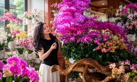Người phụ nữ gây sốt với “phòng khách hoa lan” hơn 1.000 chậu: Không gian ngập sắc hoa khiến ai nhìn cũng muốn ngắm mãi