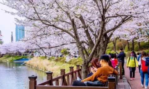 Cách nào giúp khách Việt xin được visa Hàn Quốc 10 năm