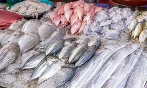 5 loại cá đang vào vụ, thịt ngon nhất năm: Người bán cũng ưu tiên mang về ăn