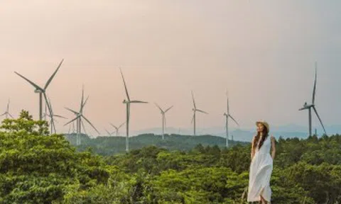Khách Hà Nội mách điểm đến "sáng tắm biển, chiều lên đỉnh đồi mát như Đà Lạt"