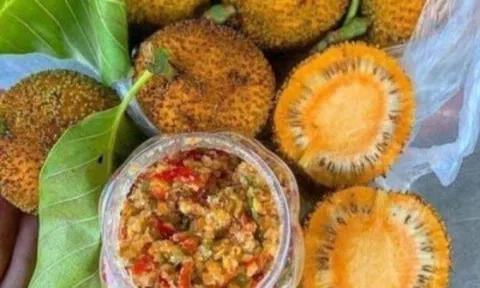 Loại quả dại mọc đầy bờ rào không ai hái giờ thành đặc sản được ưa chuộng giá 120.000 đồng/kg, có tiền vẫn khó mua