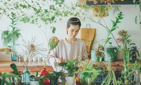 Người phụ nữ U40 biến căn bếp thành “khu vườn xanh” với hơn 30 loại cây: Mỗi sáng thức dậy đều thấy cuộc sống đáng yêu hơn