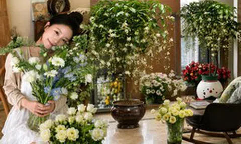 Một chậu hoa nhài rủ khiến cả phòng khách "lột xác": Hương thơm dễ chịu đến mức cả nhà đều mong được về sớm