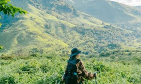 Ở Khánh Hoà có một thảo nguyên xanh mướt, là “viên ngọc” giữa đại ngàn, cung đường trekking được giới trẻ yêu thích