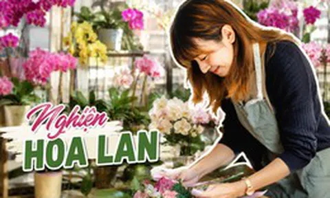 Cô gái khoe phòng khách kín hoa lan và quả quyết: "Tôi sẽ không mua thêm nữa", nhưng ai nhìn cũng chỉ biết bật cười