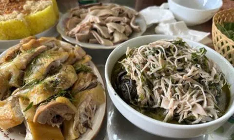 Món lạ từ sản vật "dưới lòng đất" ở miền Bắc, nhìn là muốn gắp, ăn bổ lại ngon