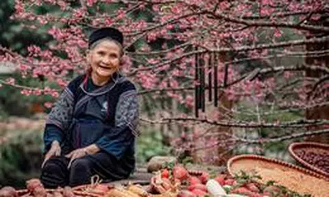 Ngôi làng hơn 150 năm tuổi cách Hà Nội 320 km: Đẹp như tranh 4 mùa, được đề cử danh hiệu tốt nhất thế giới