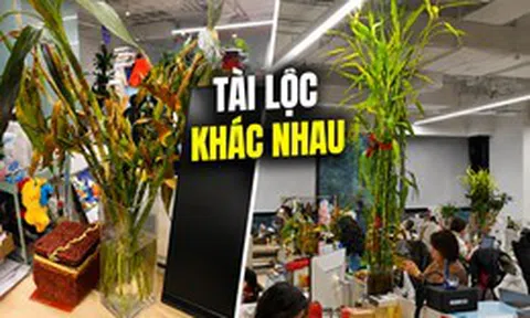 Đồng nghiệp trồng cây phát lộc cao chạm trần, cây của mình lại héo vàng: Cư dân mạng nói một câu khiến cô quyết tâm kiếm tiền
