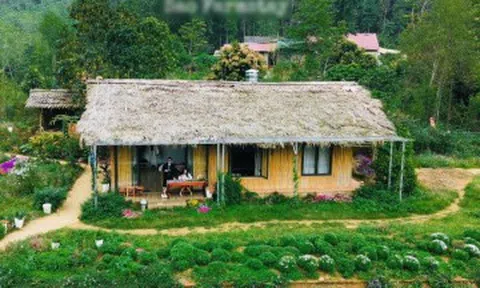 3 bản làng ở Tuyên Quang hút khách trốn nóng, có nơi biệt lập giữa rừng già
