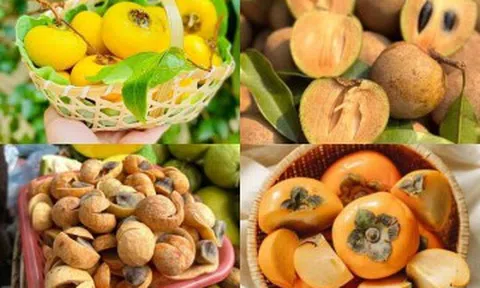 5 loại quả “ôm trọn” hương vị mùa thu Hà Nội, thơm ngon giá rẻ, là đặc sản nức tiếng để mua về làm quà