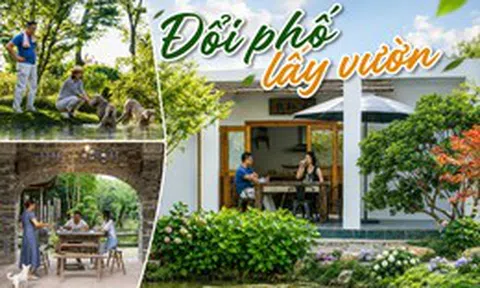 Nữ giáo viên rời trung tâm thành phố, dành 16 năm làm khu vườn 400m²: Chi phí sống giảm, nhà lại rộng hơn
