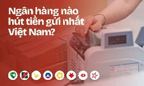 Những ngân hàng nào hút tiền gửi nhất Việt Nam hiện nay?