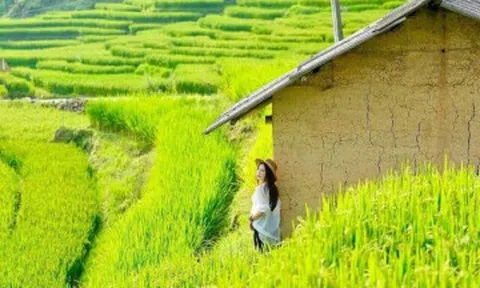7 trải nghiệm không nên bỏ lỡ ở Y Tý mùa lúa chín